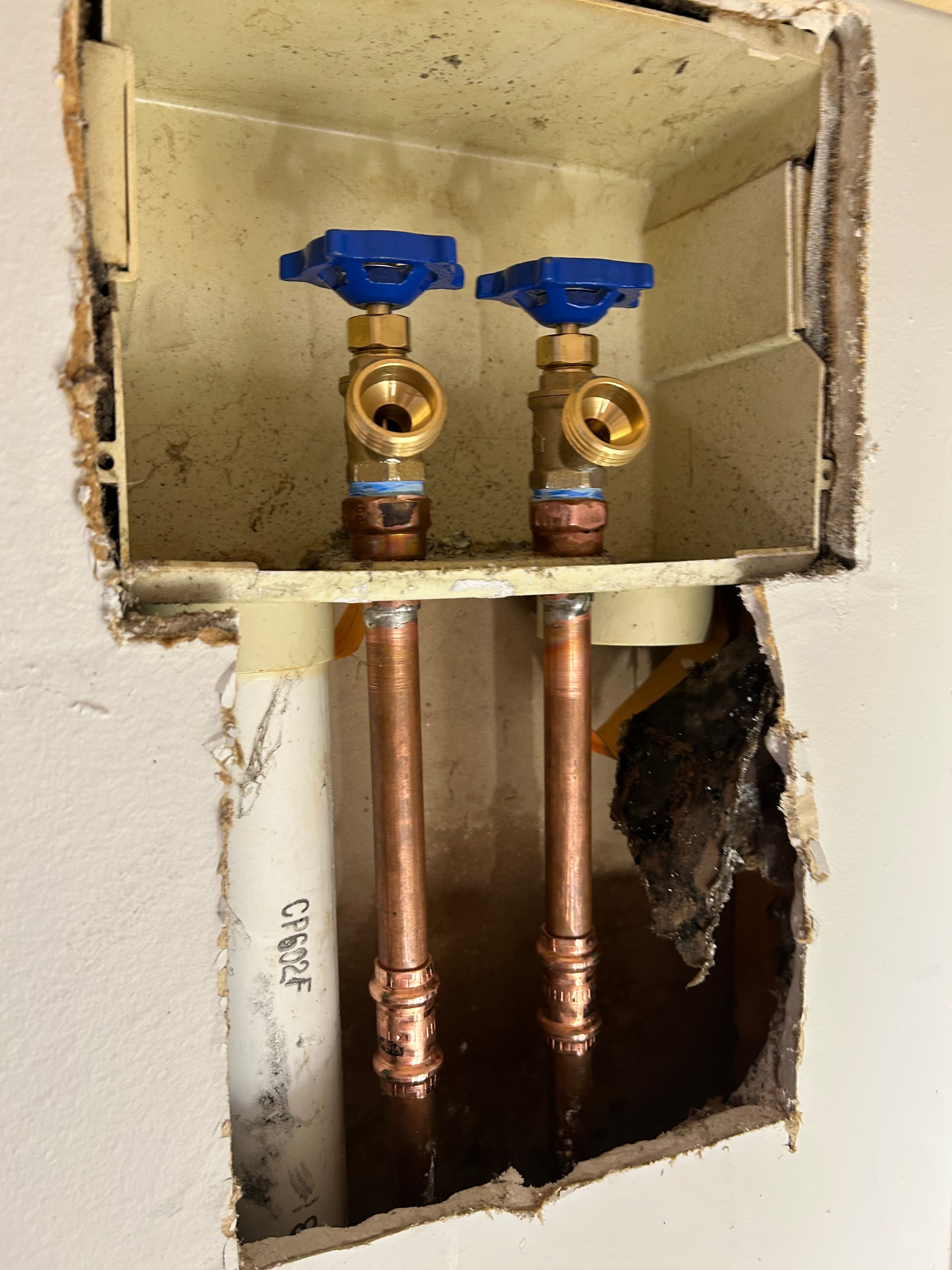 Two copper pipes with blue shut-off valves inside a recessed wall box for laundry.