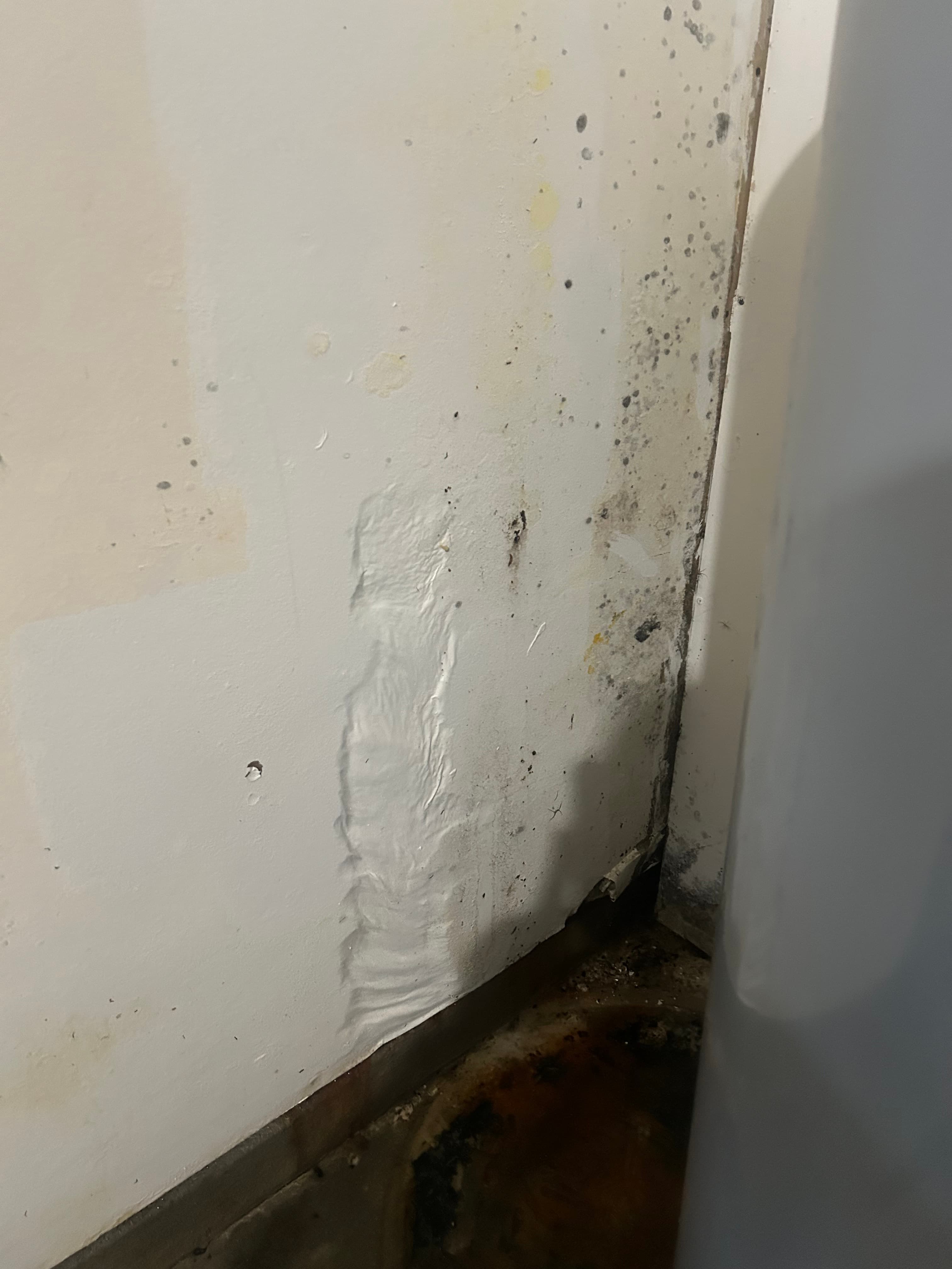 White wall with severe water damage, bubbling paint, black mold, and a stained floor.